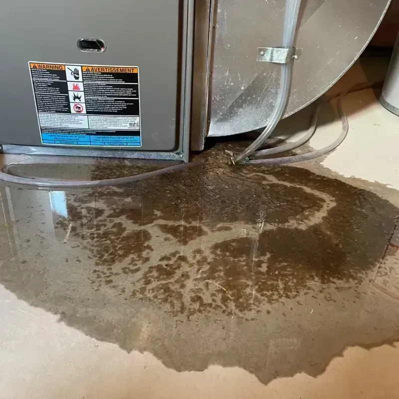 Appliance Leak Cleanup in Louisville, CO